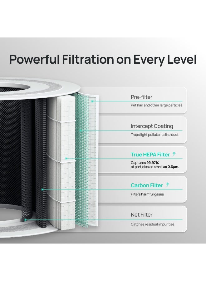 Dreo فلتر استبدال جهاز تنقية الهواء DREO لـ HAP005S (1 قطعة/صندوق) - Image 5